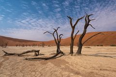 Dead Vlei