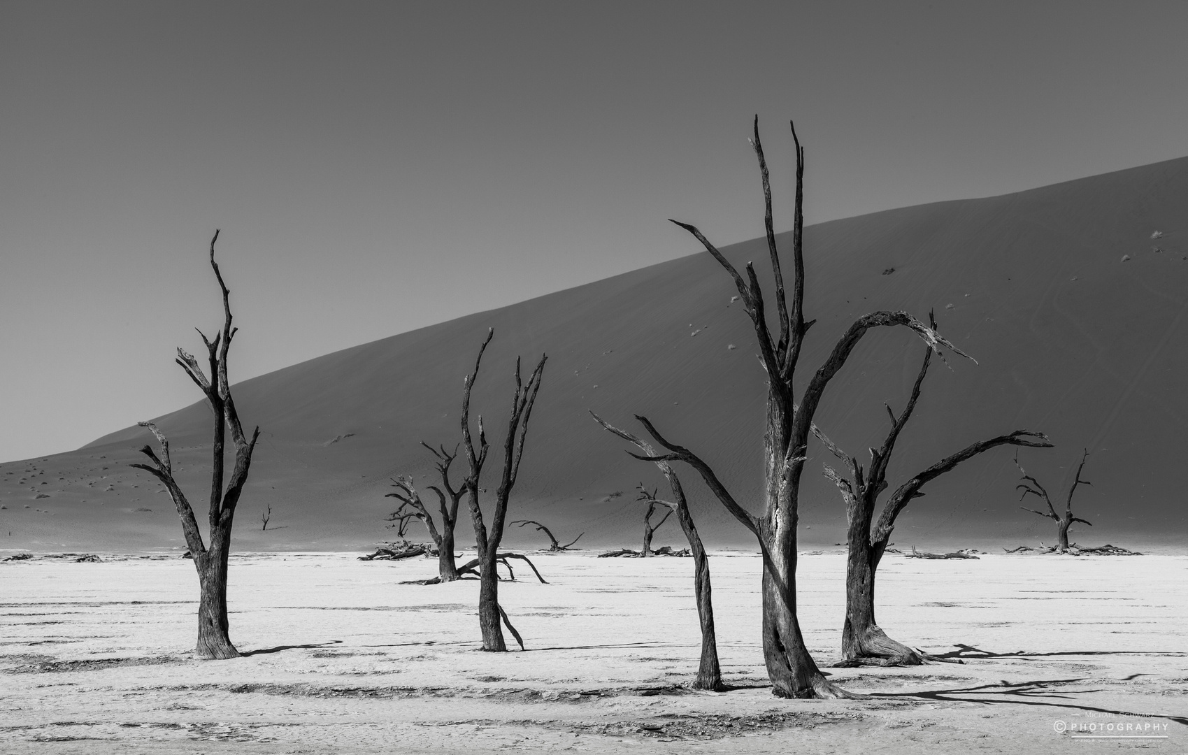 Dead Vlei