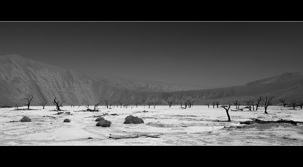 Dead Vlei