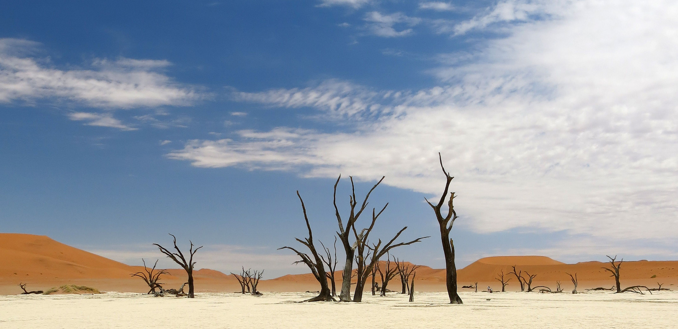 Dead Vlei - ein Ort wo tote Bäume leuchten