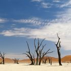 Dead Vlei - ein Ort wo tote Bäume leuchten