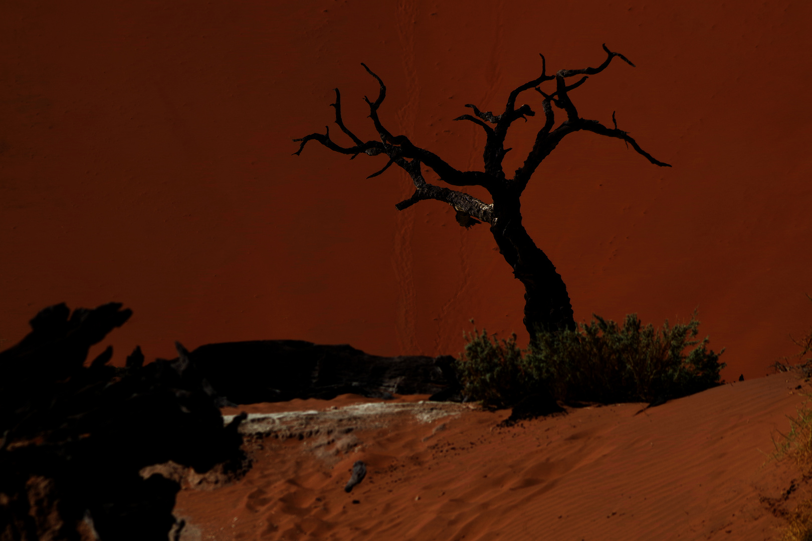 Dead Vlei extrem