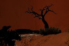 Dead Vlei extrem