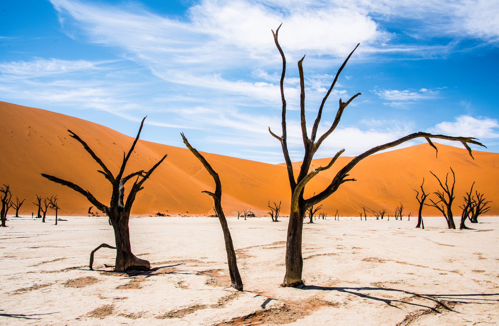 Dead Vlei