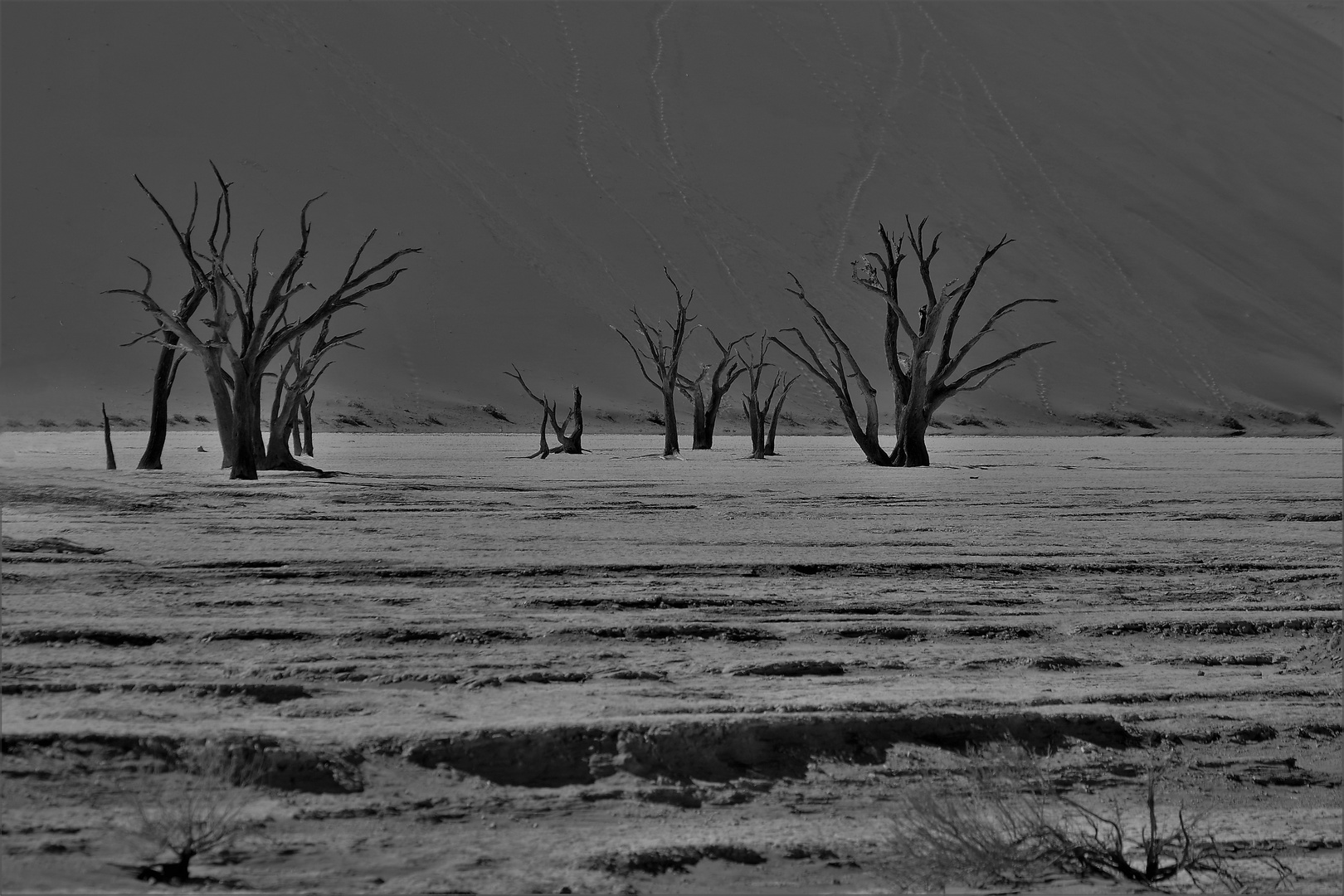 Dead Vlei