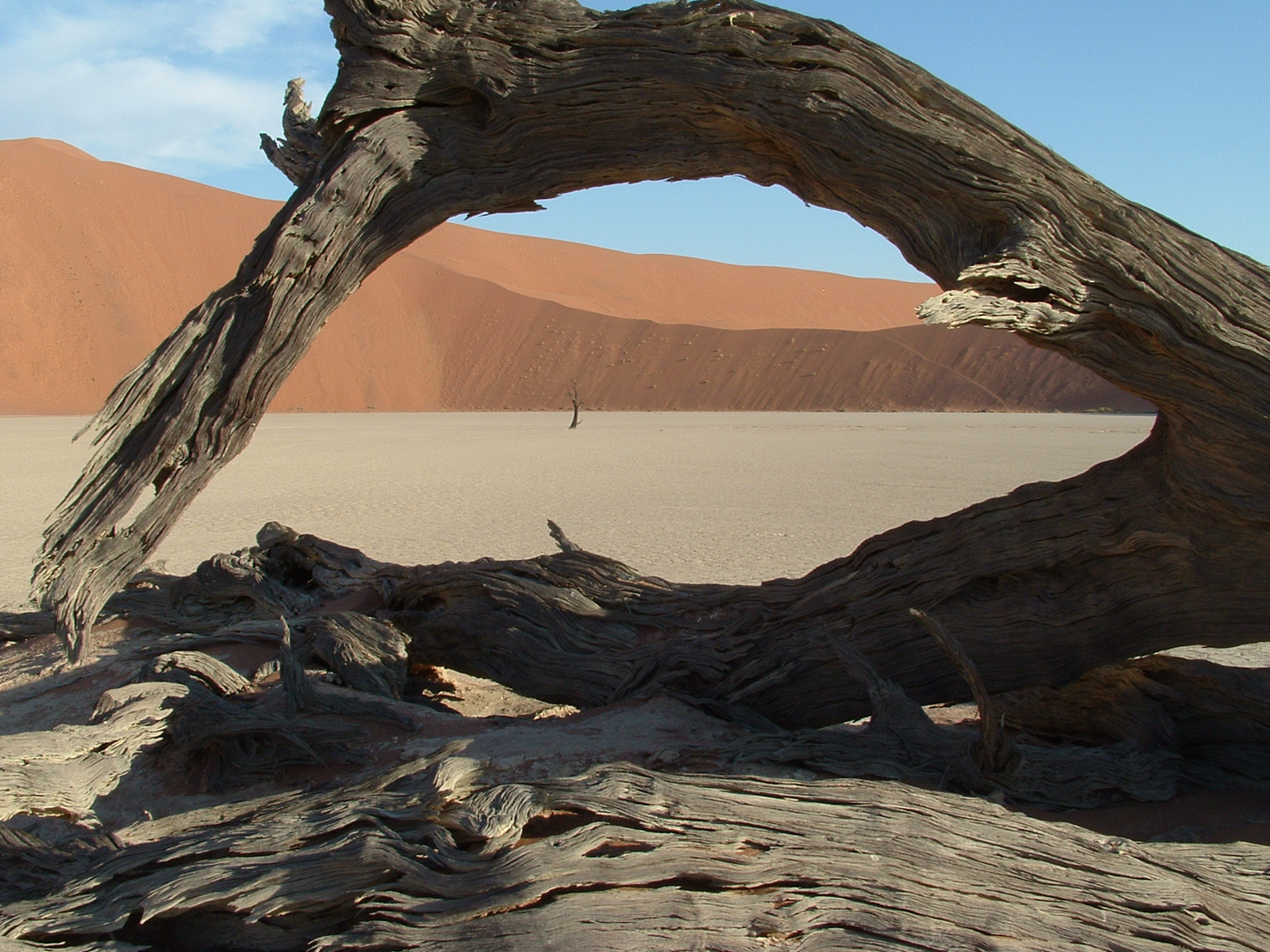 Dead Vlei