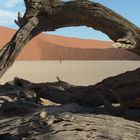 Dead Vlei