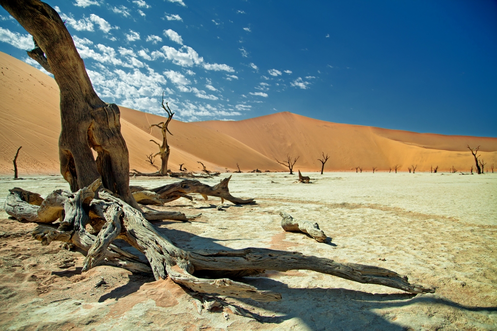 dead vlei