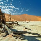 dead vlei