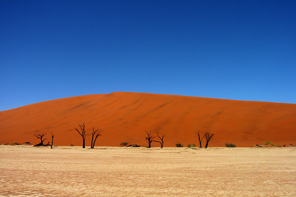 Dead Vlei I