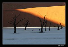 Dead Vlei I