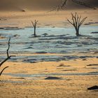 Dead Vlei II