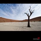 Dead Vlei II