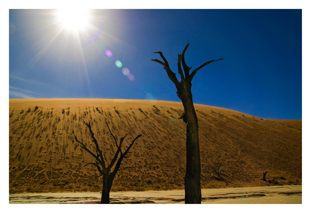 Dead Vlei II