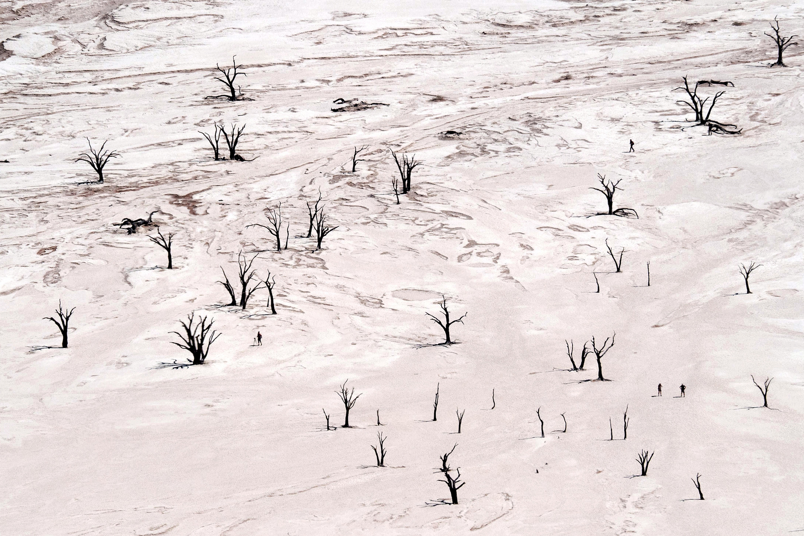 Dead Vlei II