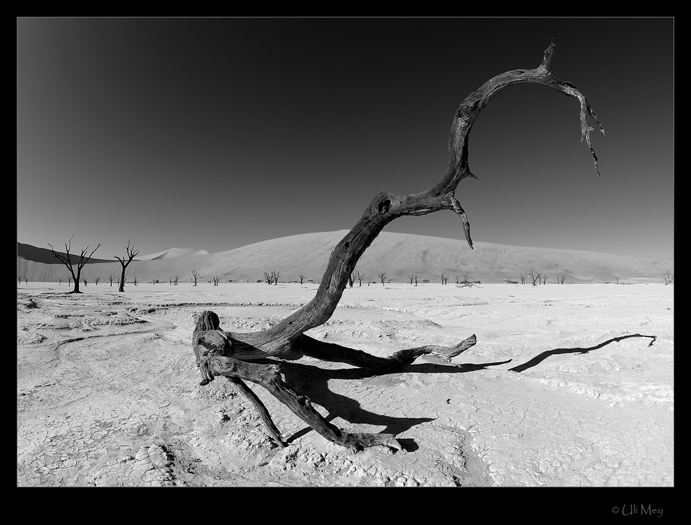 Dead Vlei im namibischen Sommer