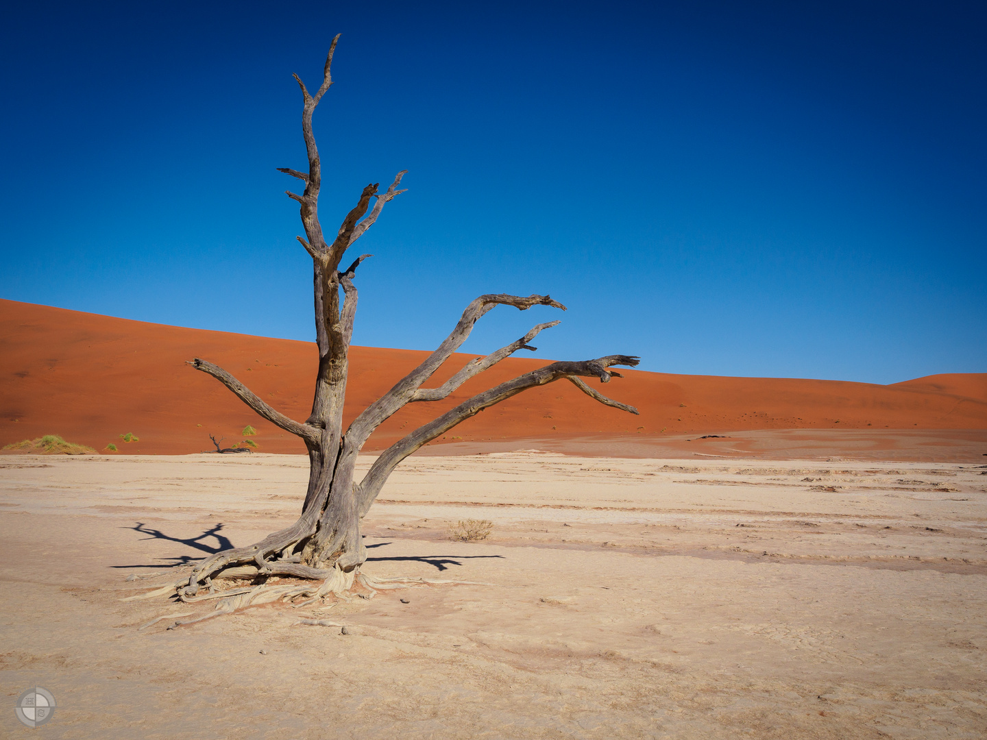 Dead Vlei im Naukluft Nationalpark, Namibia