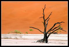 Dead Vlei Impression