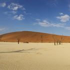 Dead Vlei in 180°