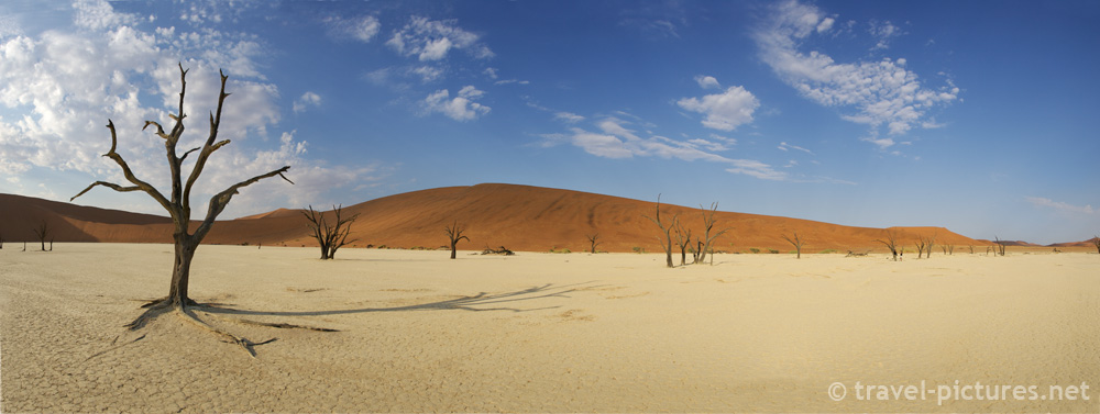 Dead Vlei in 180°