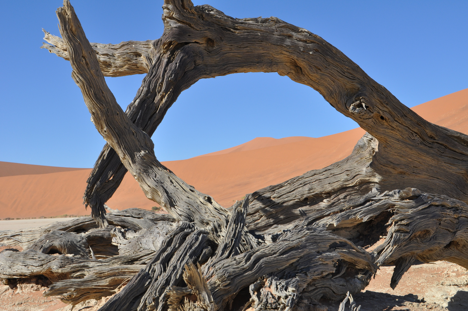 Dead vlei in Namibia