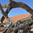 Dead vlei in Namibia