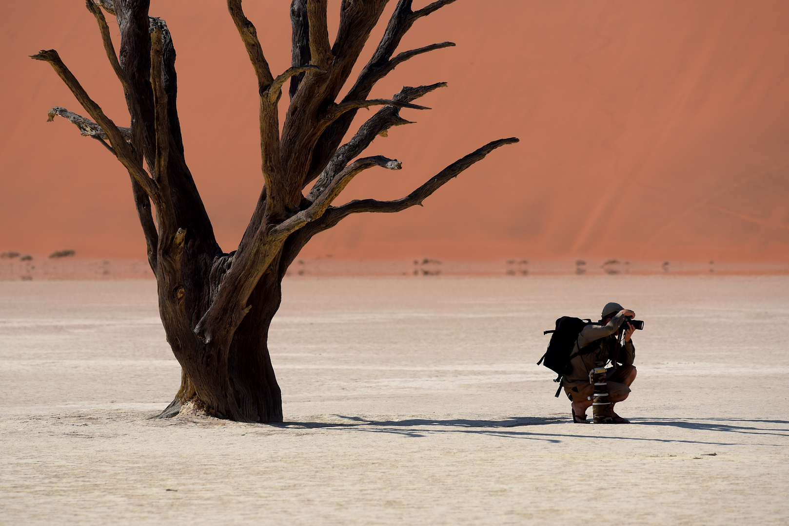 Dead Vlei in Namibia