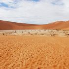 Dead vlei in Namibia