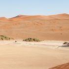 Dead Vlei in Namibia