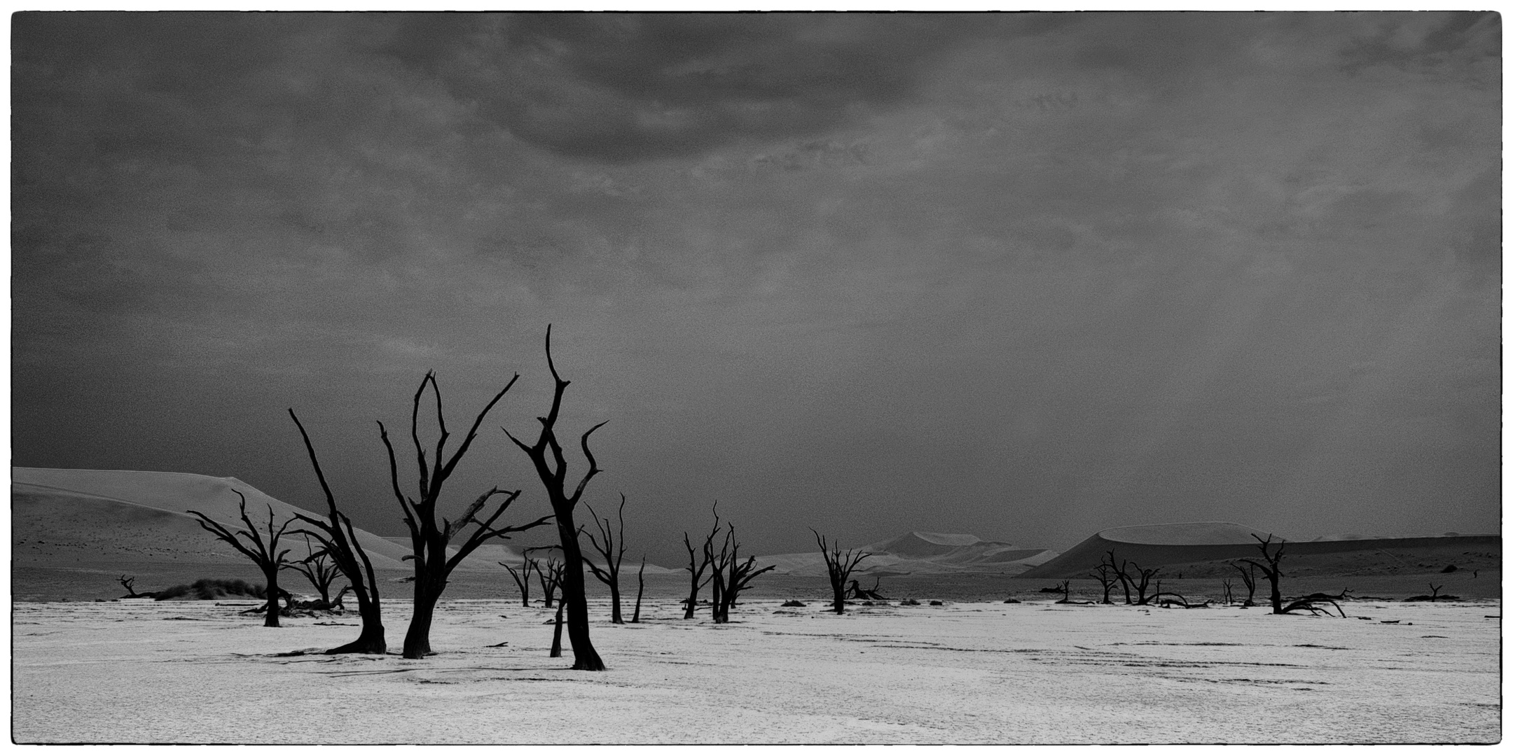 Dead Vlei in SW