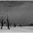 Dead Vlei in SW