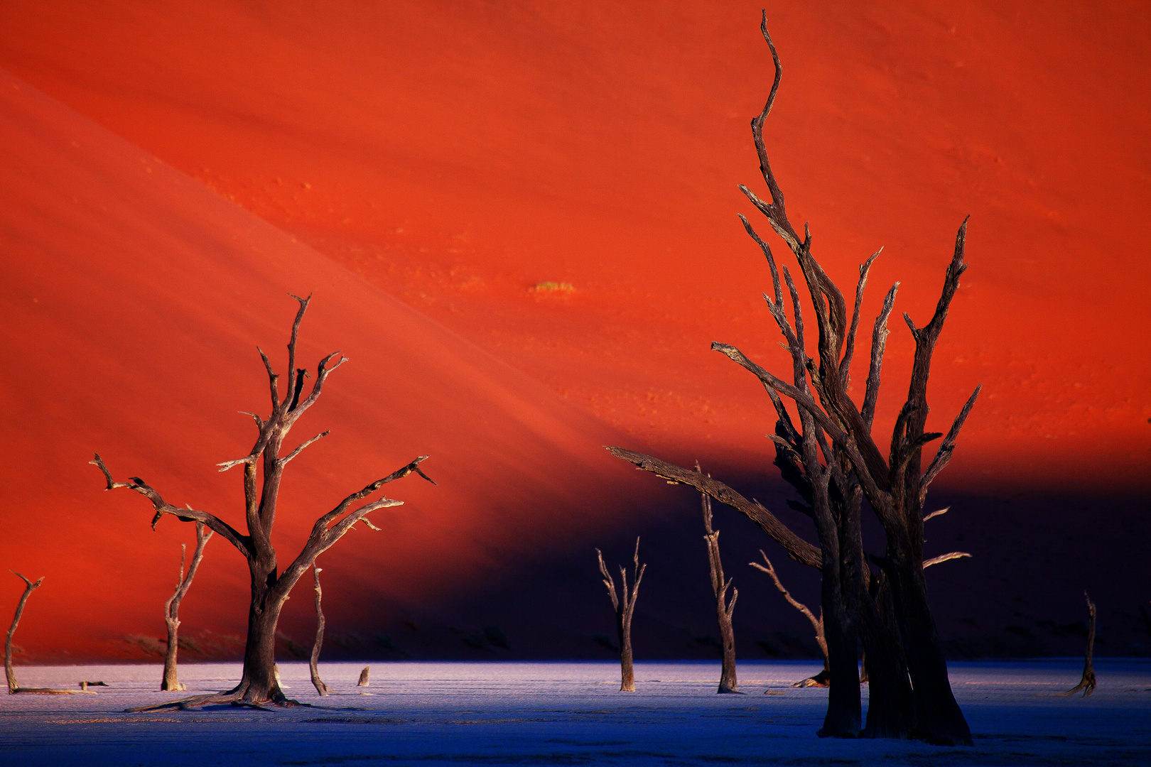 Dead Vlei Licht Spezial