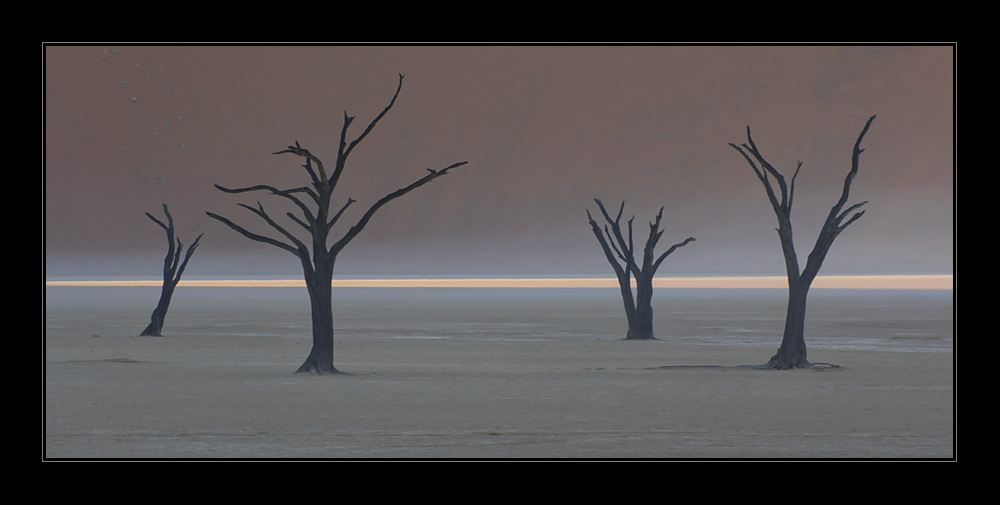 Dead Vlei mit Nebelspuren