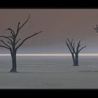 Dead Vlei mit Nebelspuren