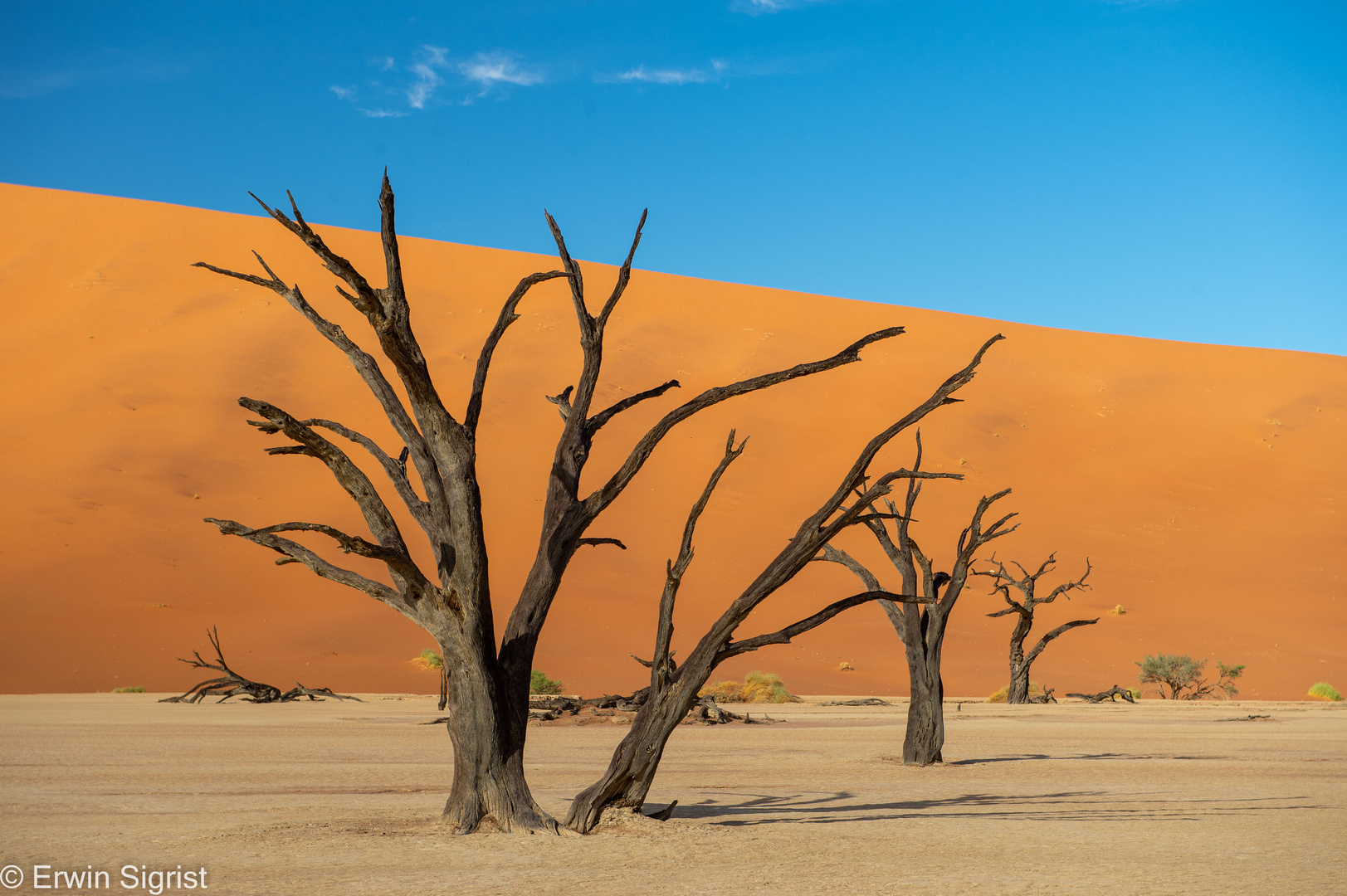 Dead Vlei (Nähe Sossusvlei - Sesriem / Namibia)