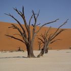 Dead Vlei Namib