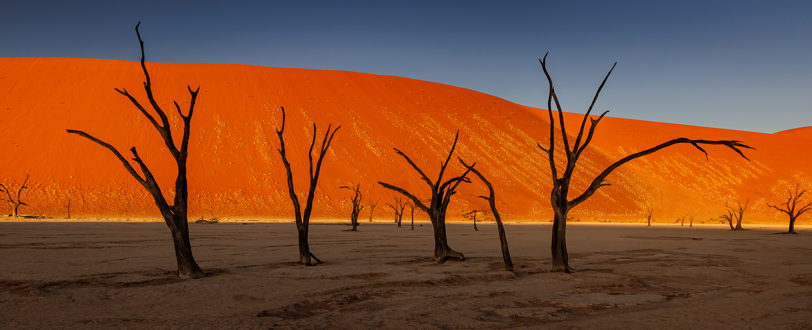 ~ Dead Vlei - Namib ~