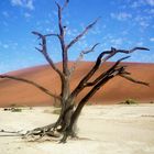 DEAD VLEI - NAMIB DESERT