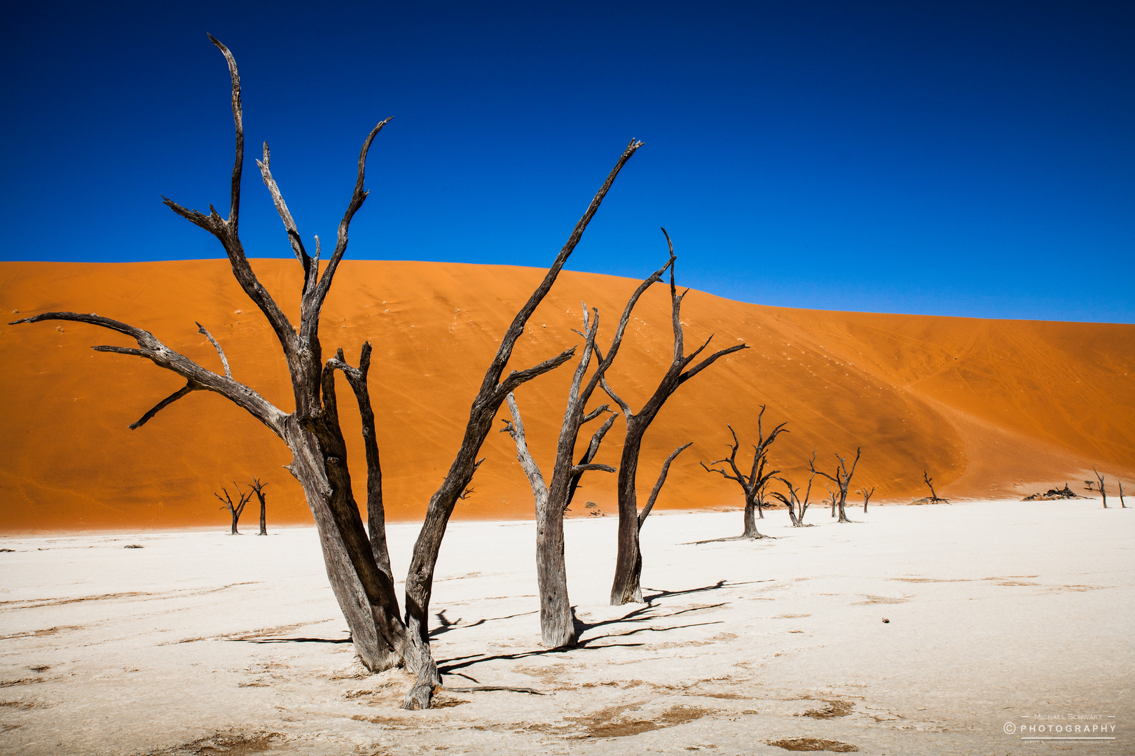 Dead Vlei Namib desert