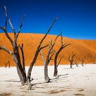 Dead Vlei Namib desert
