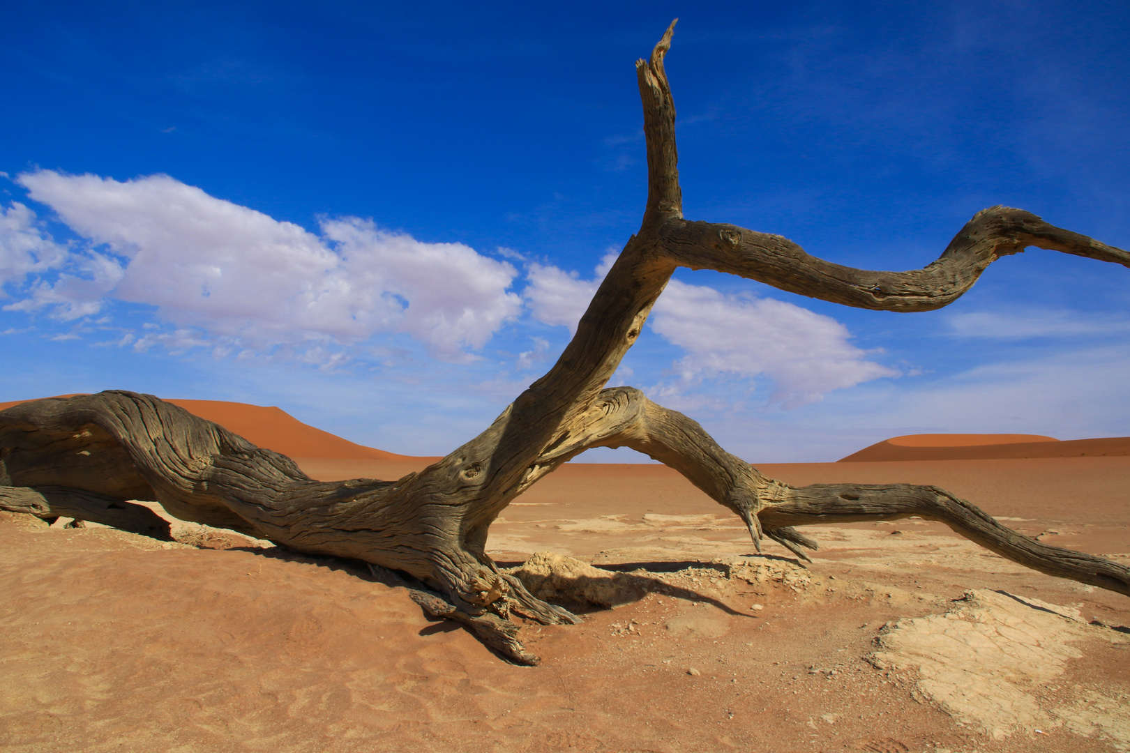 Dead Vlei - Namib