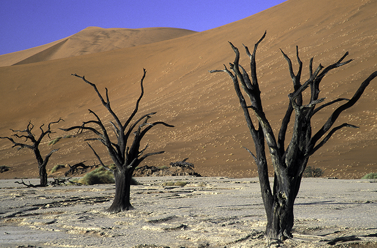 Dead vlei, Namibia