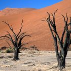 Dead vlei, Namibia