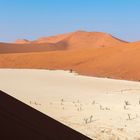 Dead Vlei, Namibia