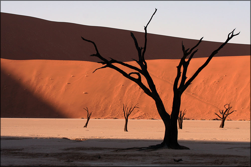 Dead Vlei, NAMIBIA