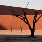 Dead Vlei, NAMIBIA