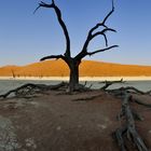 Dead Vlei - Namibia