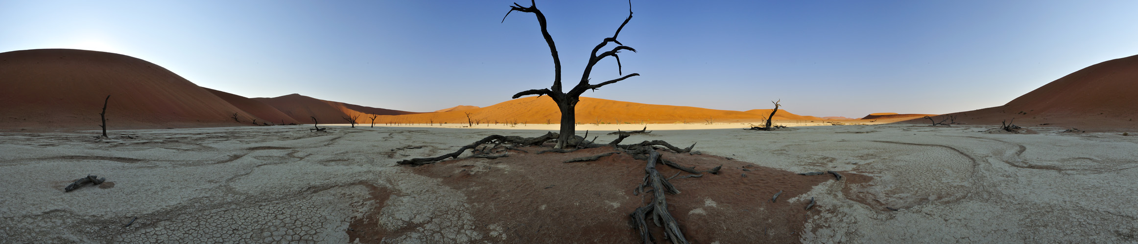 Dead Vlei - Namibia