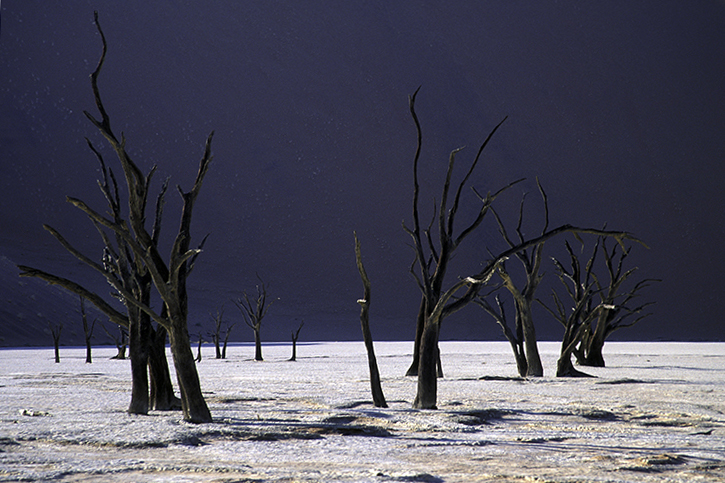 Dead vlei, Namibia