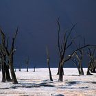 Dead vlei, Namibia